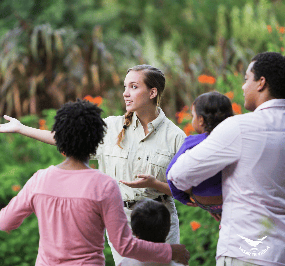 Vista panorámica del eje cafetero, Experiencia de turismo personalizado en Colombia